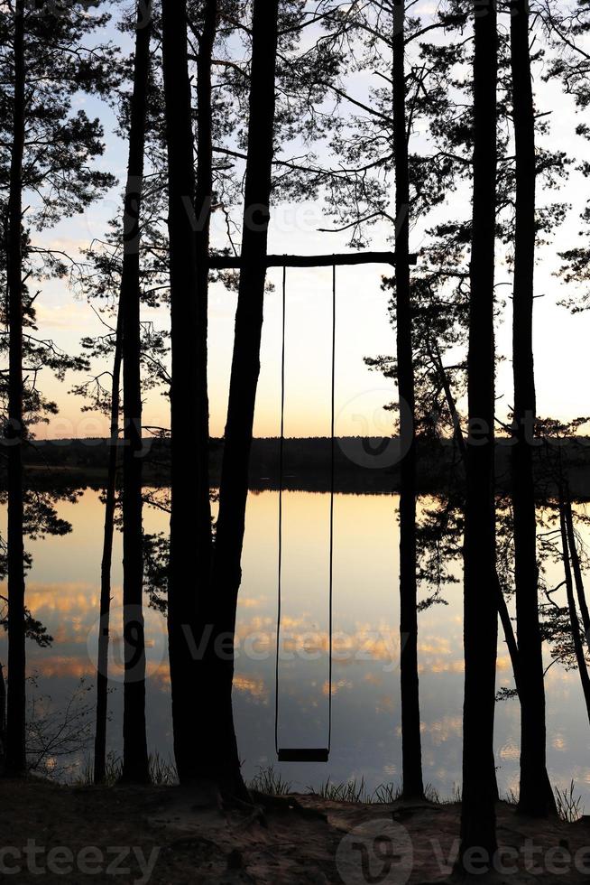 balanço feito à mão na floresta de pinheiros perto do lago ao pôr do sol foto