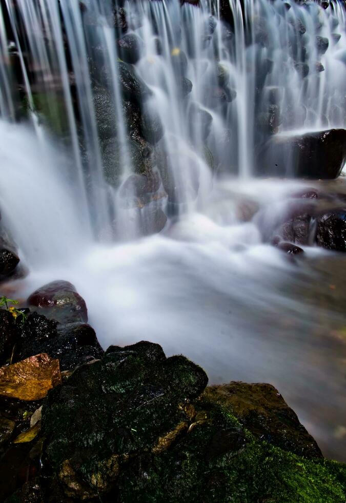 lindo Visão do cachoeira, água fluxo dentro rio com cascata Visão foto