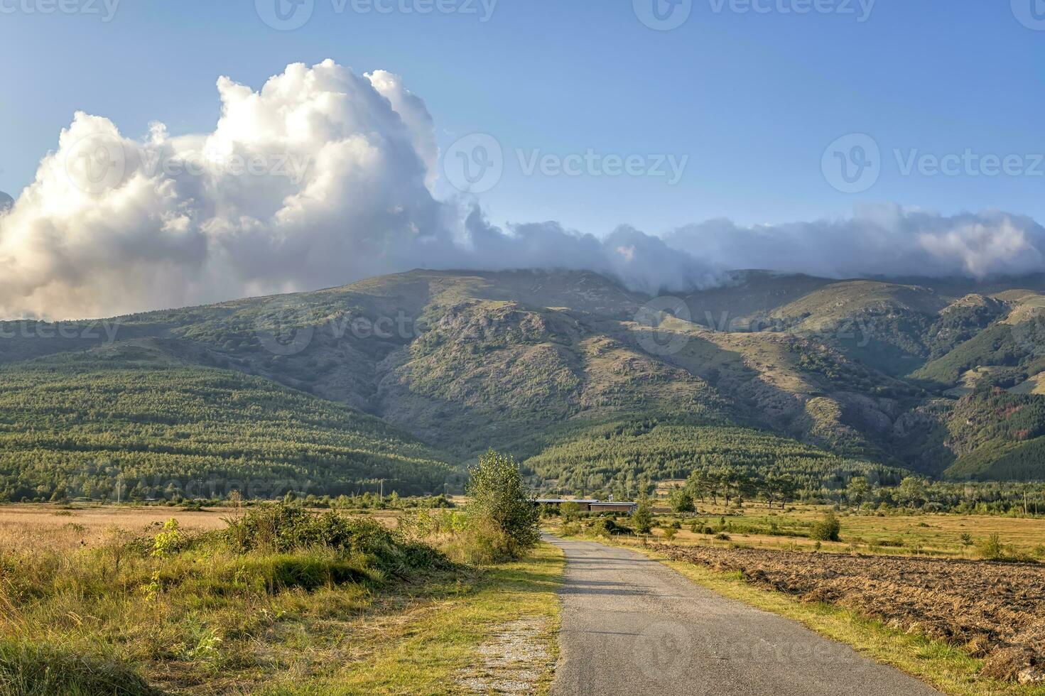 em linha reta asfalto estrada indo através uma vale para a montanha foto