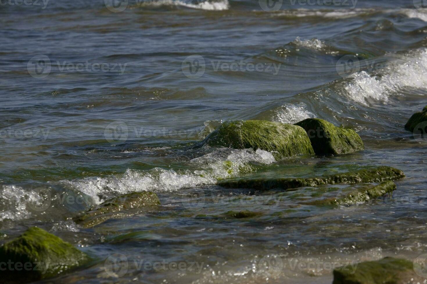 beira-mar panorama com uma pedregulho cheio com verde algas e ondas do a mar dentro a fundo foto
