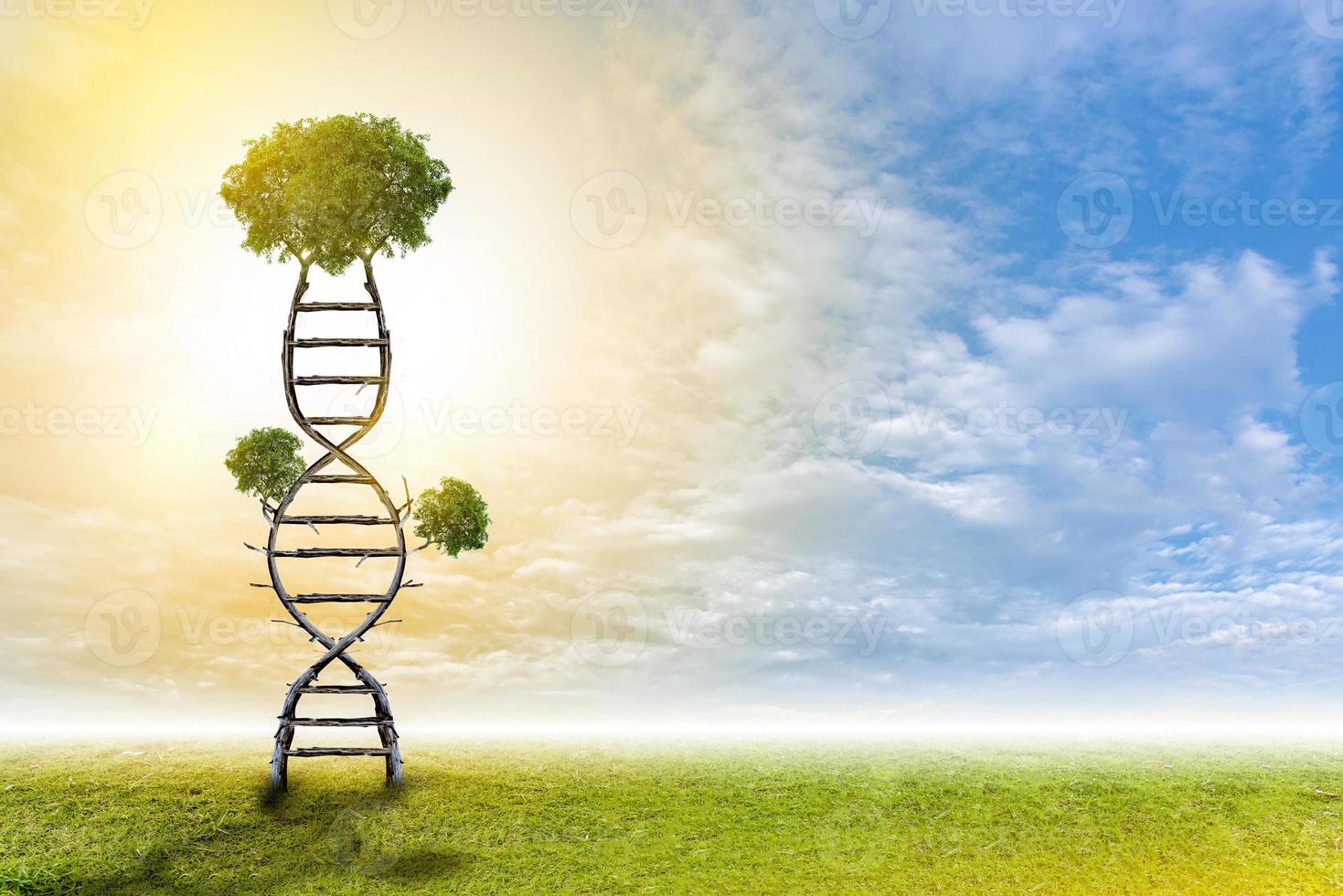 DNA é um estilo de plano de fundo de árvore natural. foto