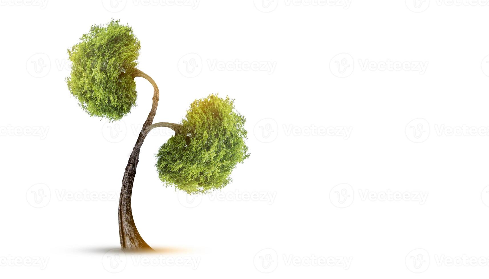 árvores rins, conceitos ambientais e médicos 3D foto