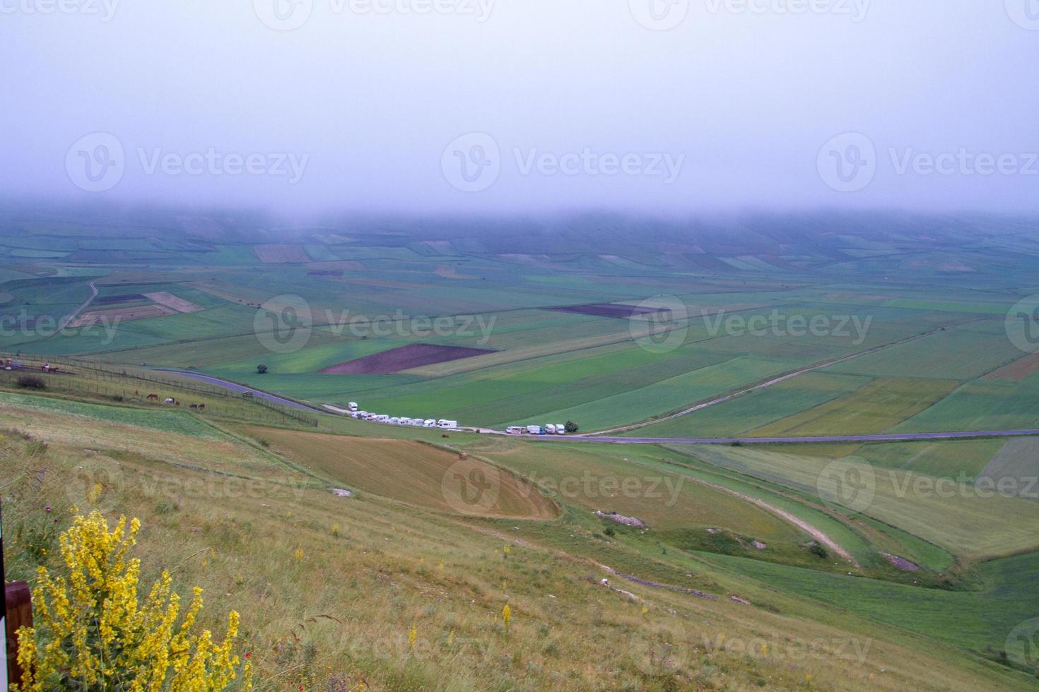 castelluccio di norcia e sua natureza florida foto