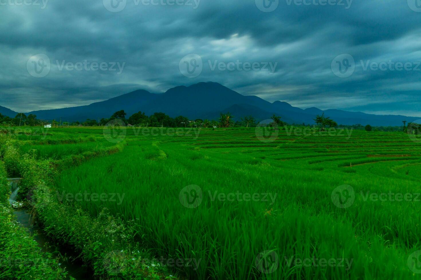 bela vista matinal indonésia panorama paisagem arrozais com cor de beleza e luz natural do céu foto