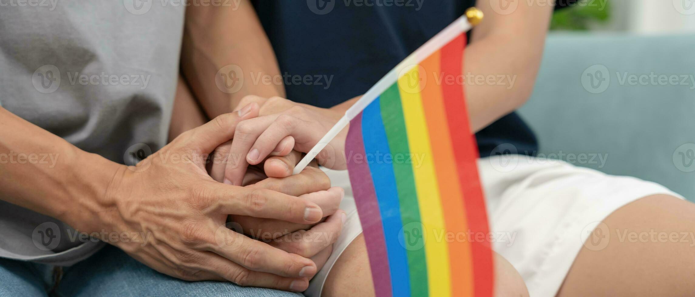 lgbt grupo. masculino bissexualidades casal segurando mãos mostrando lgbt bandeira, jovem casal abraço cada de outros Felizmente, amante dentro amor, bissexualidades, homossexualidade, liberdade, expressão, feliz vida, vida estilo foto