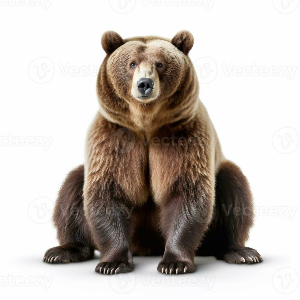 lindo selvagem fera Urso olhando frente é mostrando dentro cheio comprimento, ai gerado foto