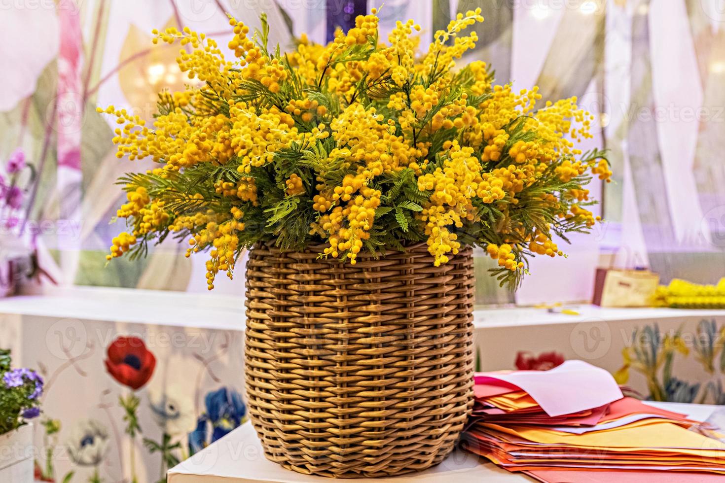 um buquê de ramos amarelos floridos de acácia prateada em uma cesta alta de vime foto