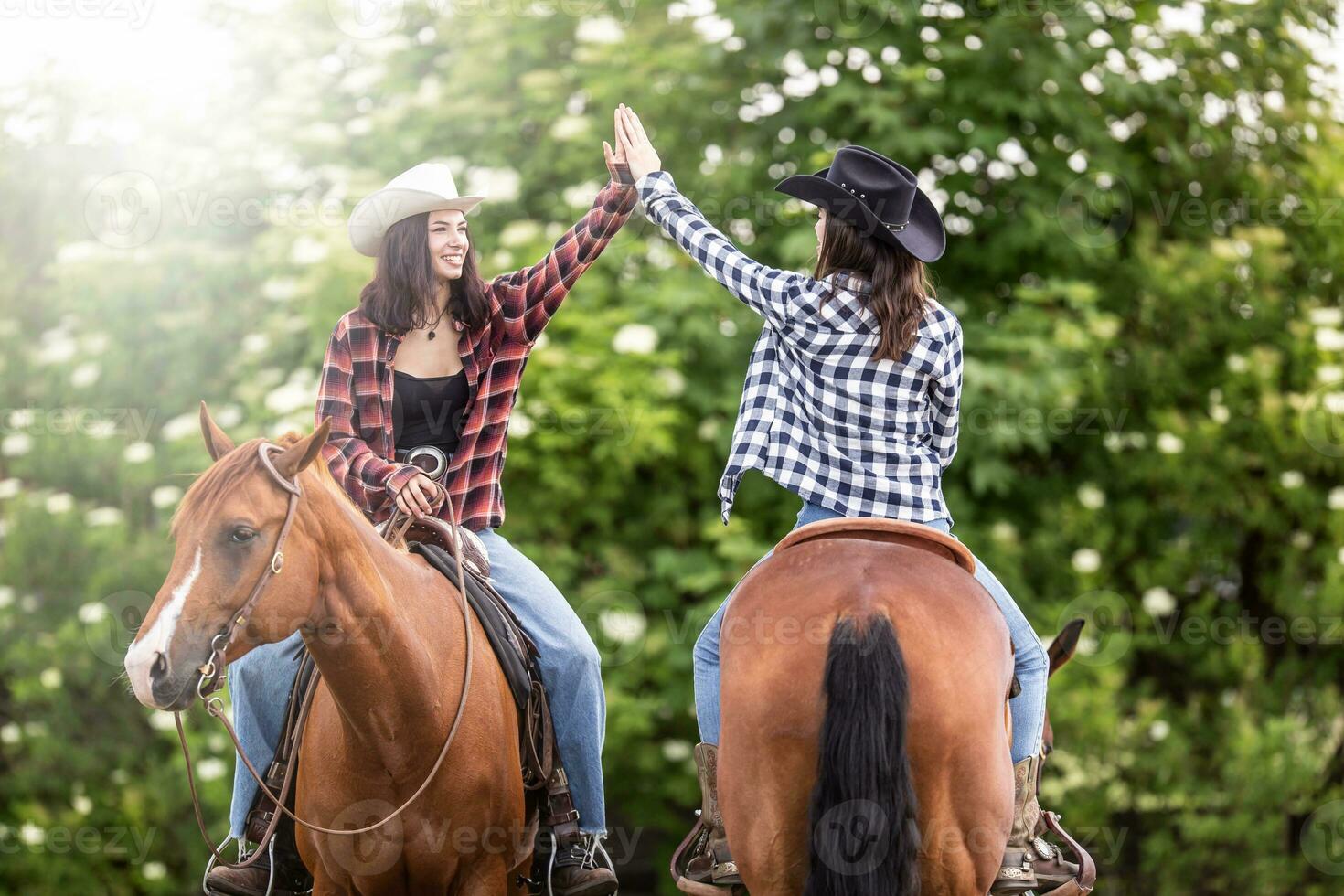 dois vaqueira amigos com cavalos voltado para a oposto direção dar uma Alto cinco foto