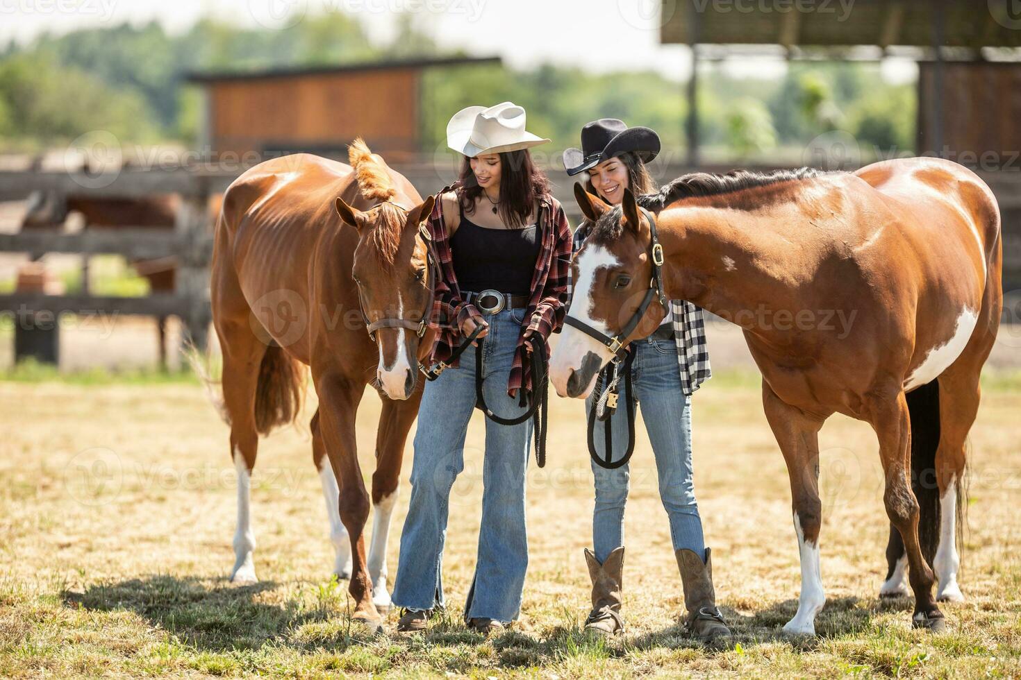 dois fêmea amigos e dois Castanho pintura cavalos juntos em uma Fazenda foto