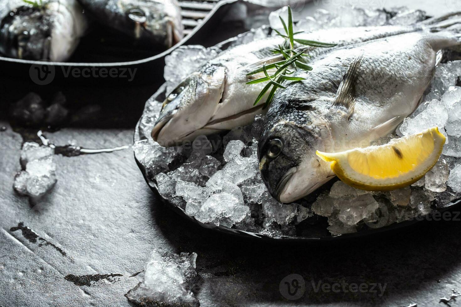 cru Mediterrâneo peixe brema dentro gelo com alecrim e limão foto