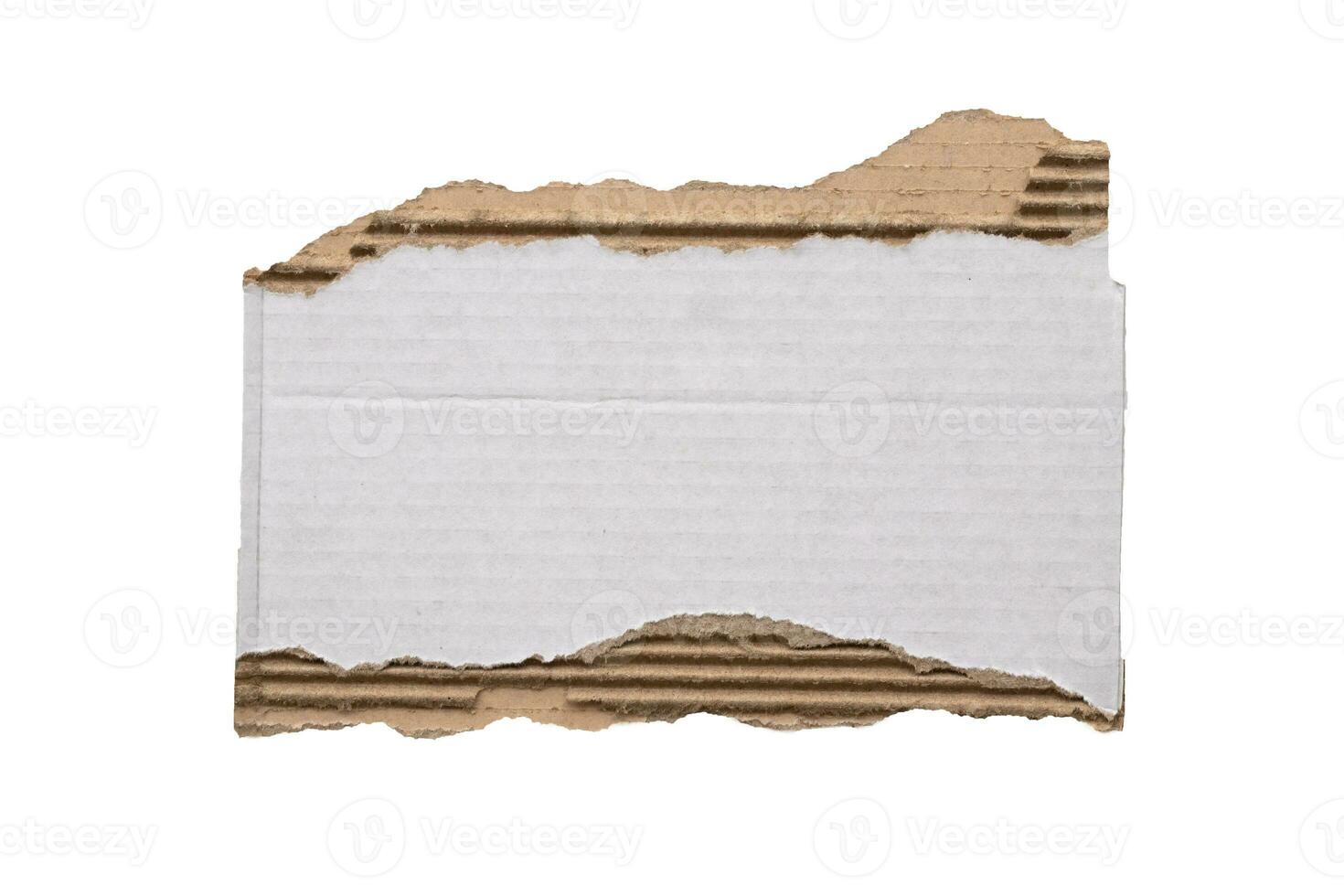 peça do branco papel lágrima isolado em branco fundo foto