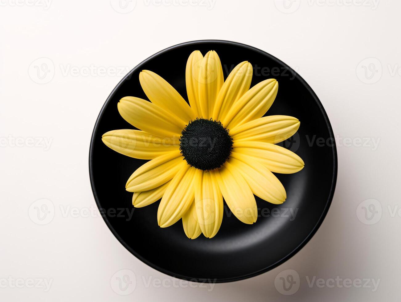 amarelo margarida com Preto Centro em branco fundo - minimalista floral fotografia - ai gerado foto