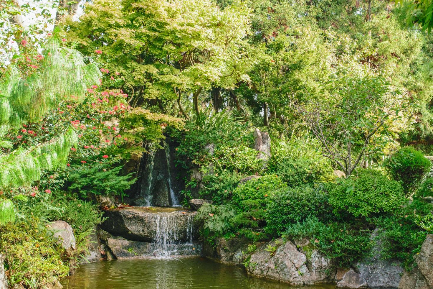 jardim japonês em montevideo, uruguai foto