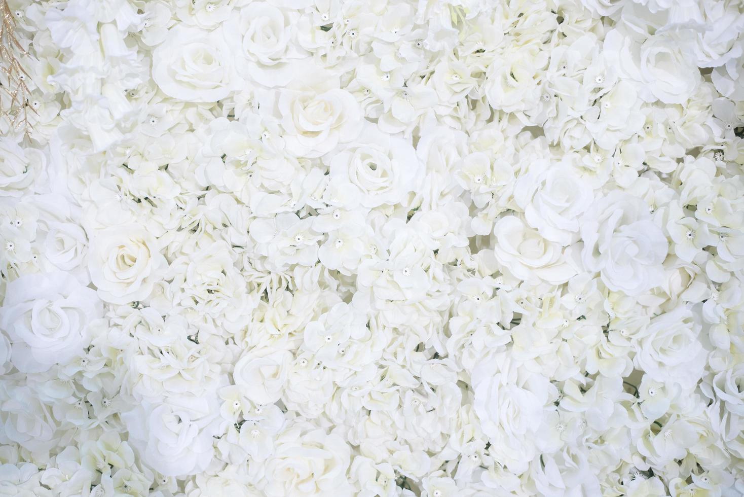 fundo e decoração de flores de casamento branco foto