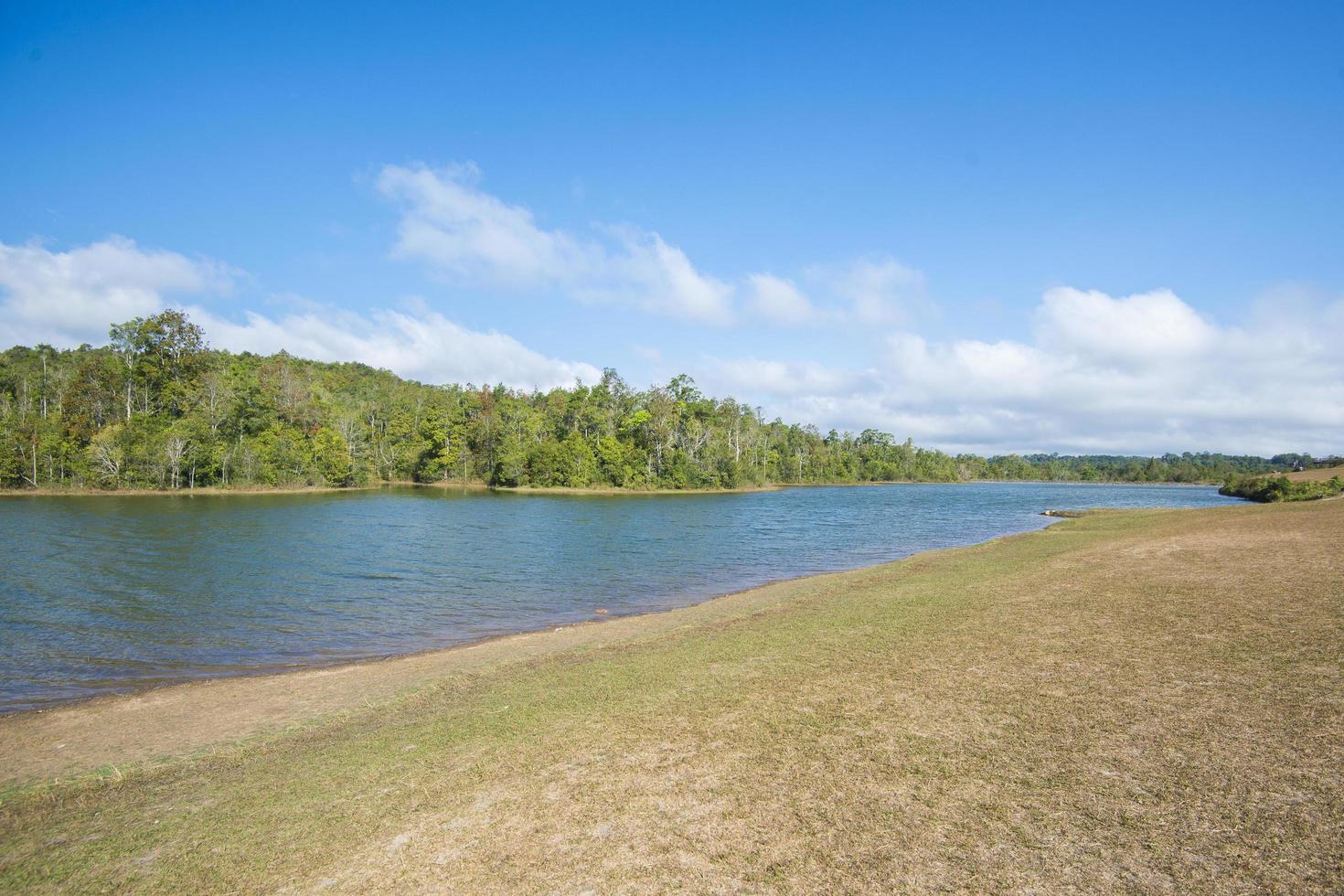 bela vista da floresta com lago contra o céu azul foto