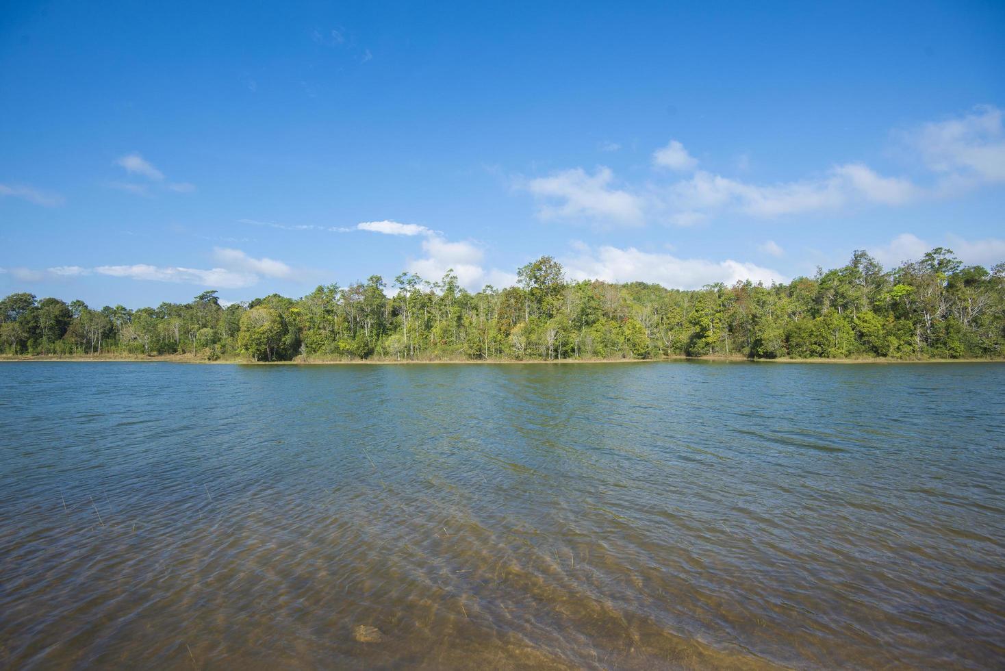 bela vista da floresta com lago contra o céu azul foto