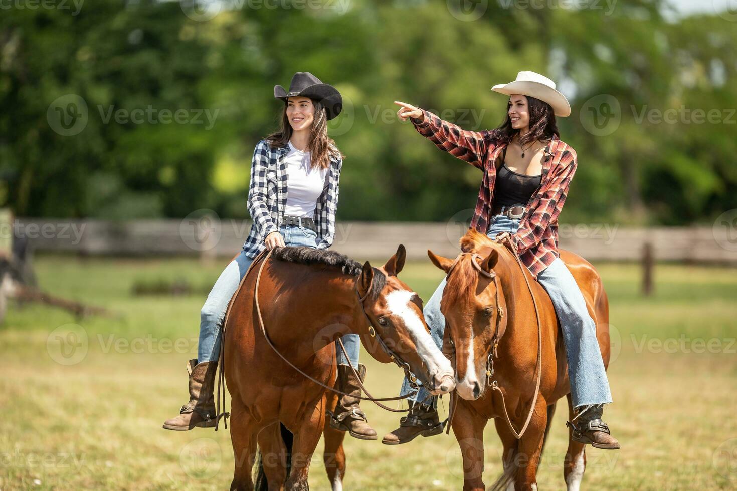 dois boa aparência jovem mulheres passeio seus cavalos, 1 apontando para a certo enquanto cavalos toque com lábios foto