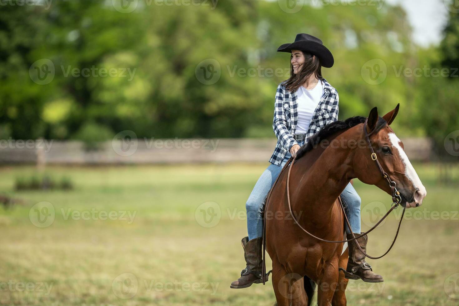 a pintura cavalo e a menina equitação isto ambos Veja dentro oposto instruções durante uma passeio em a Fazenda foto