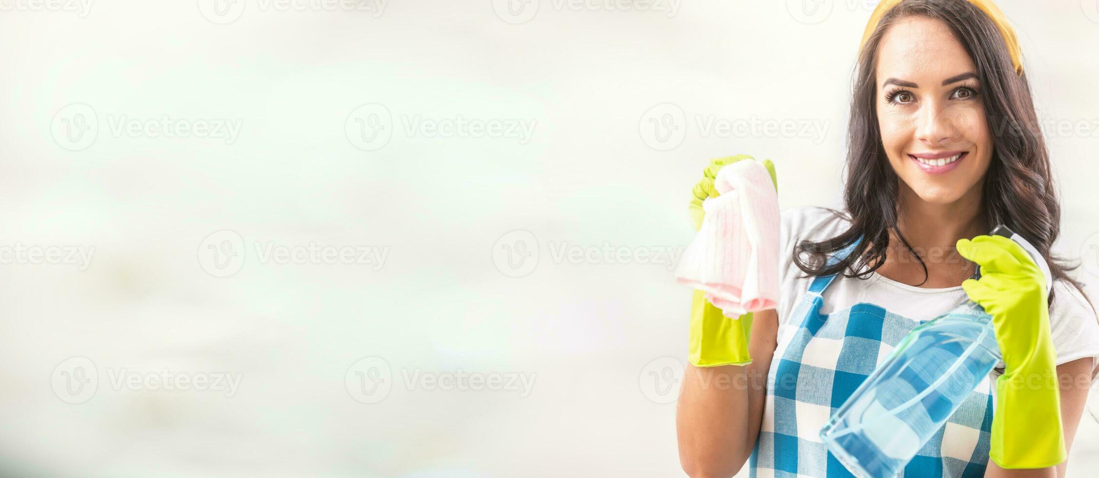 bandeira Visão do uma sorridente lindo mulher dentro avental segurando detergente e limpeza trapo dentro dela mãos dentro borracha luvas dentro a certo terceiro do a cenário foto