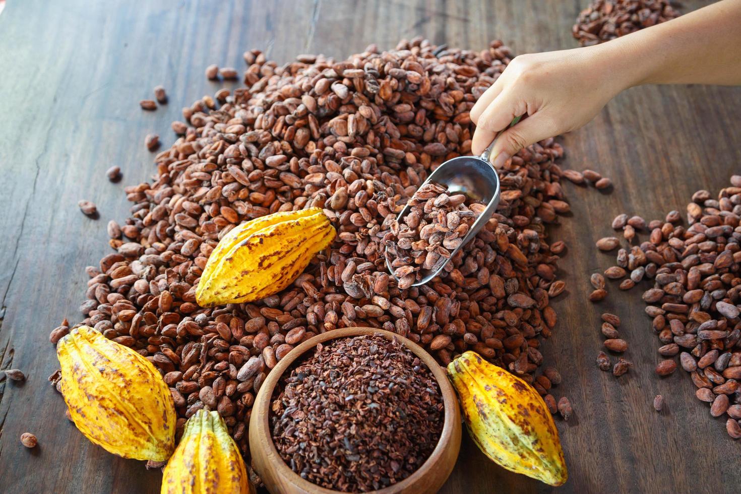 grãos de cacau secos e frutos de cacau em uma mesa de madeira foto