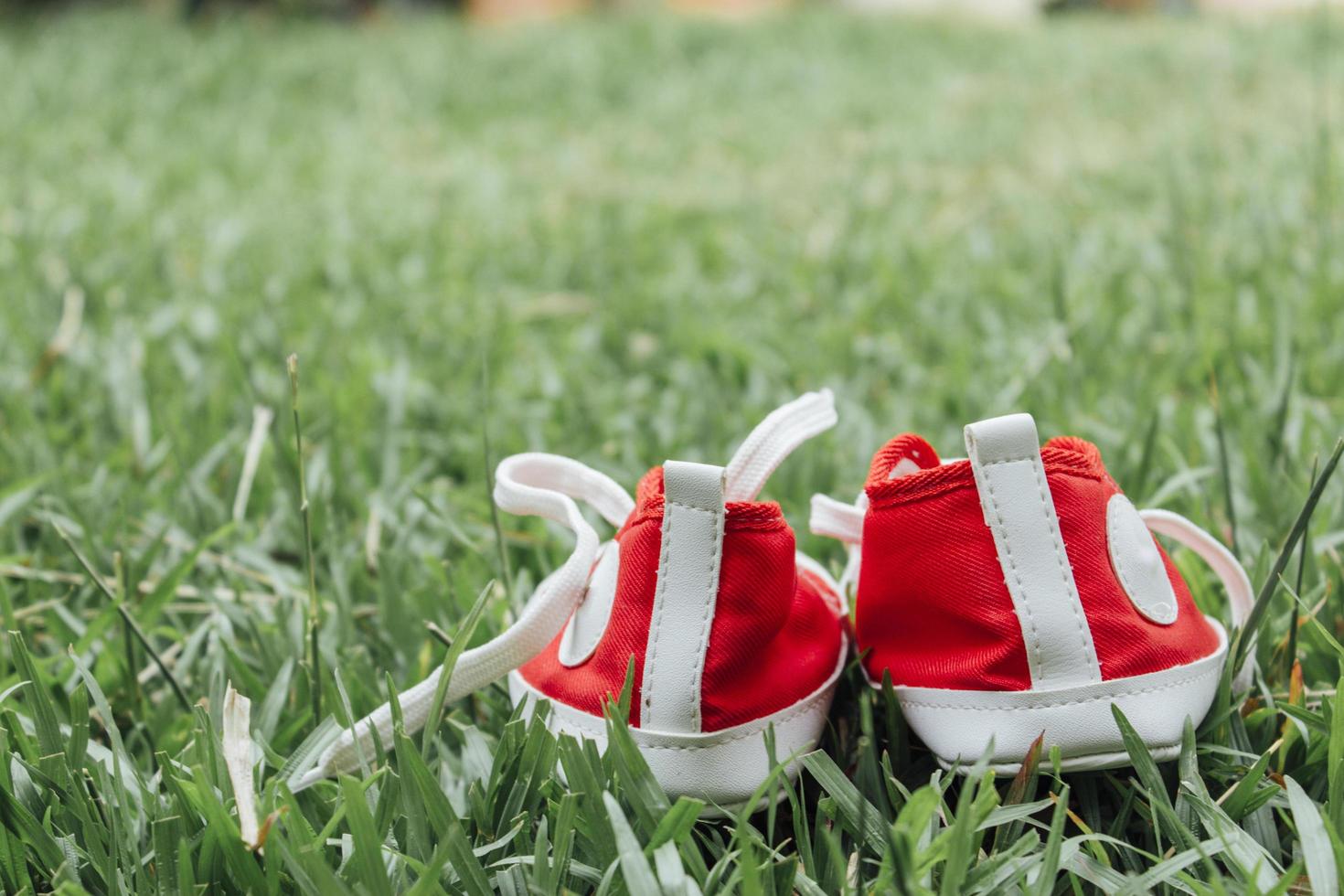 sapatos de lona pequenos vermelhos fofos na grama foto