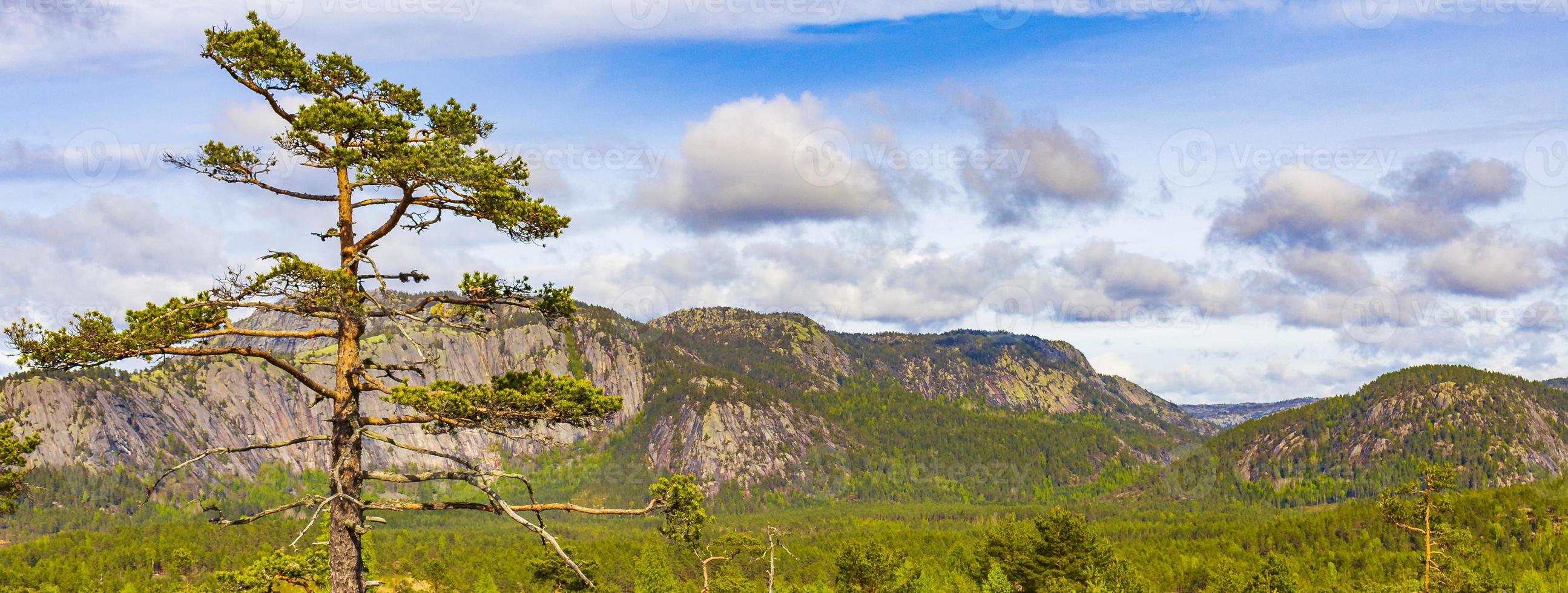 panorama com pinheiros e montanhas natureza paisagem nissedal noruega. foto