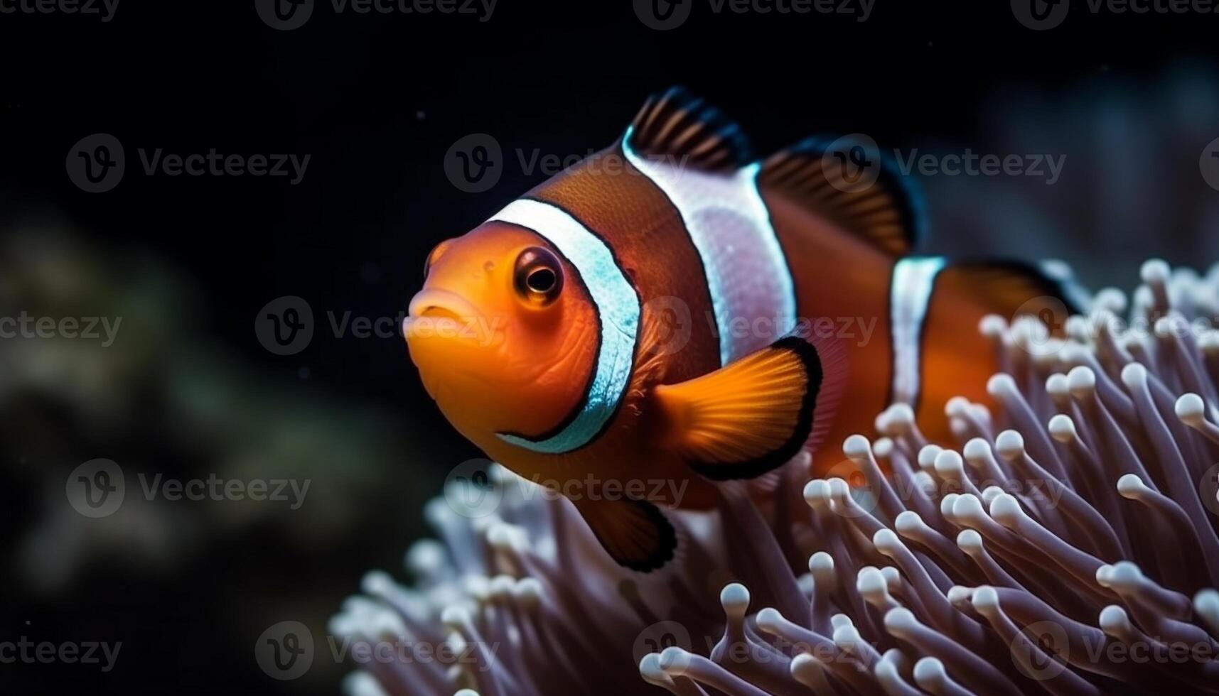 palhaço peixe natação dentro vibrante recife, exibindo natureza embaixo da agua beleza gerado de ai foto