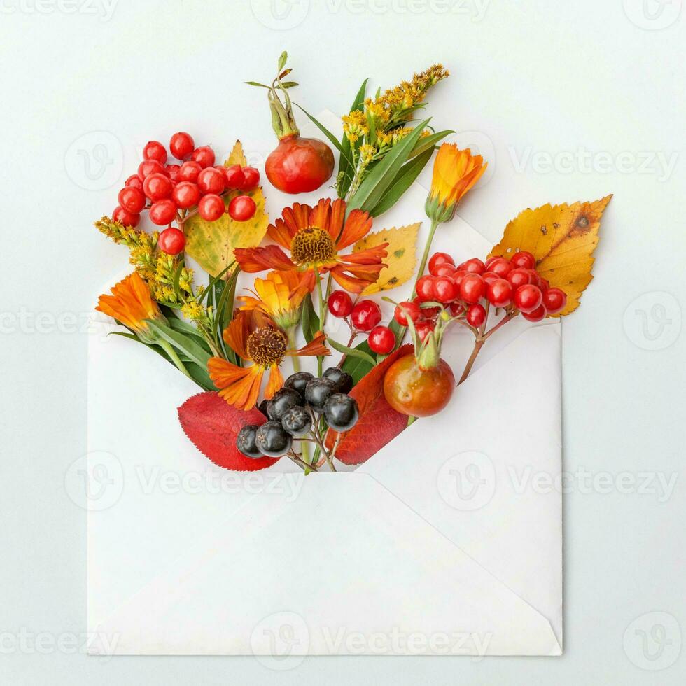 composição floral de outono. plantas viburnum rowan bagas dogrose flores frescas folhas coloridas no envelope de correio no fundo branco. cair conceito de plantas naturais. vista superior plana, maquete foto