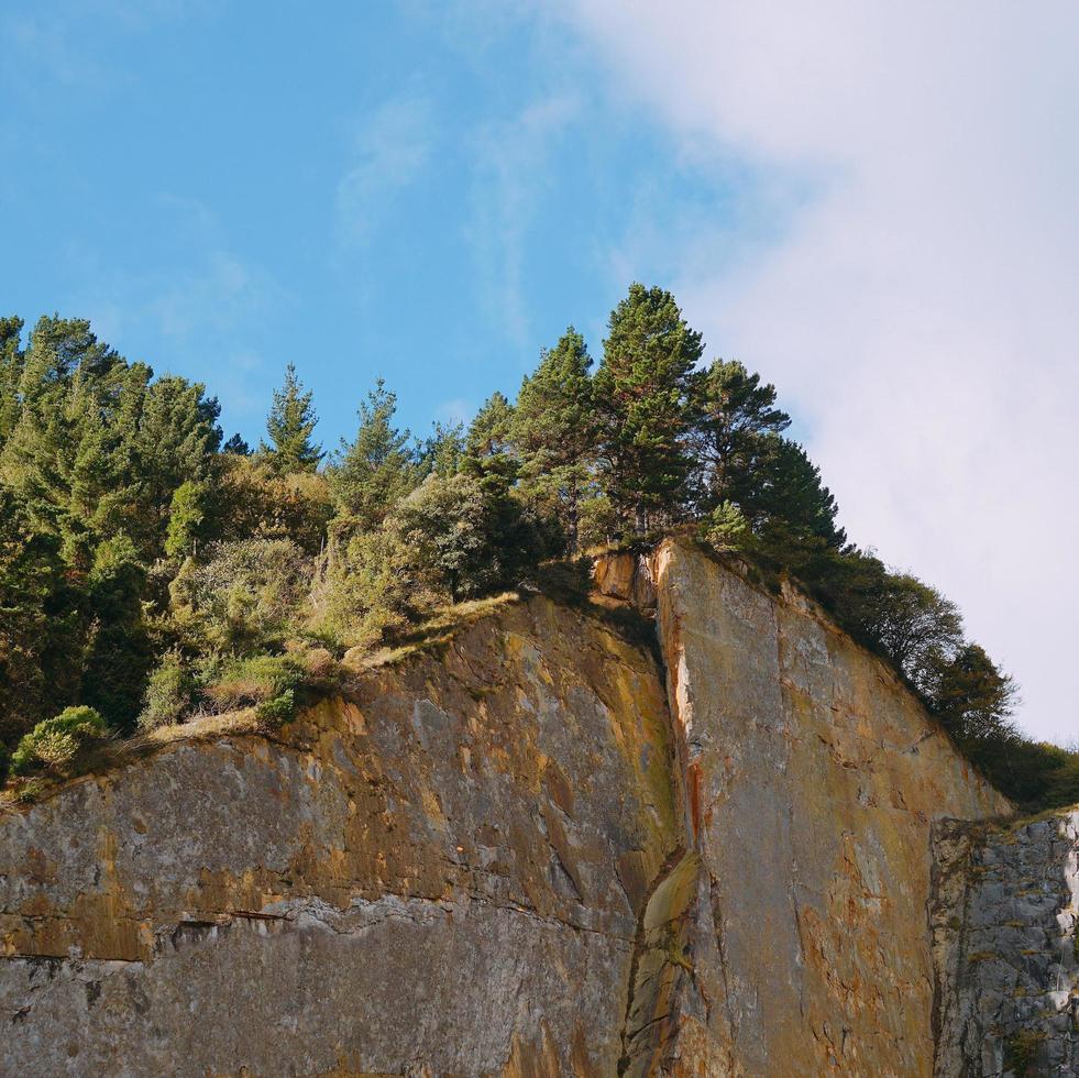 árvores na montanha paisagem natural em bilbao espanha foto