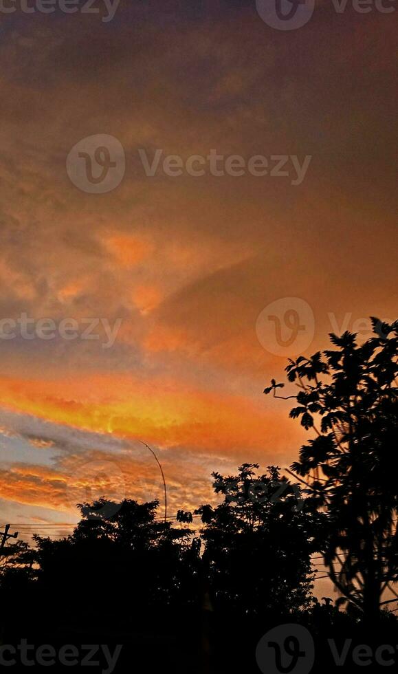 Visão do a lindo laranja céu e silhuetas do árvores foto