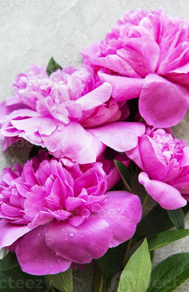 flores de peônia em um fundo cinza de concreto foto