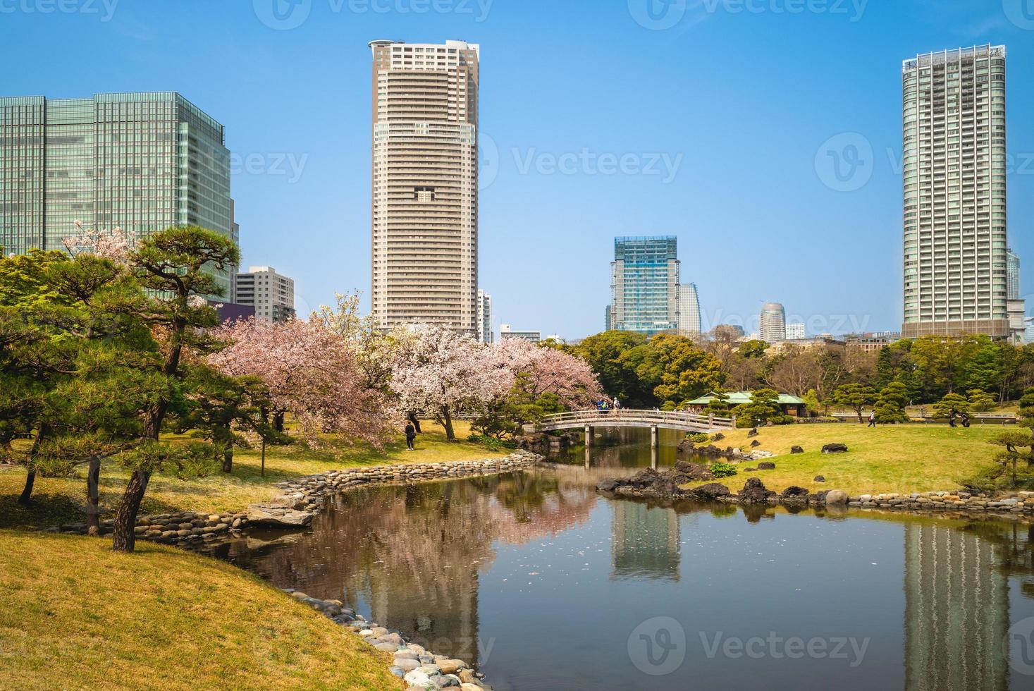 jardim hama rikyu em tokyo, japão foto