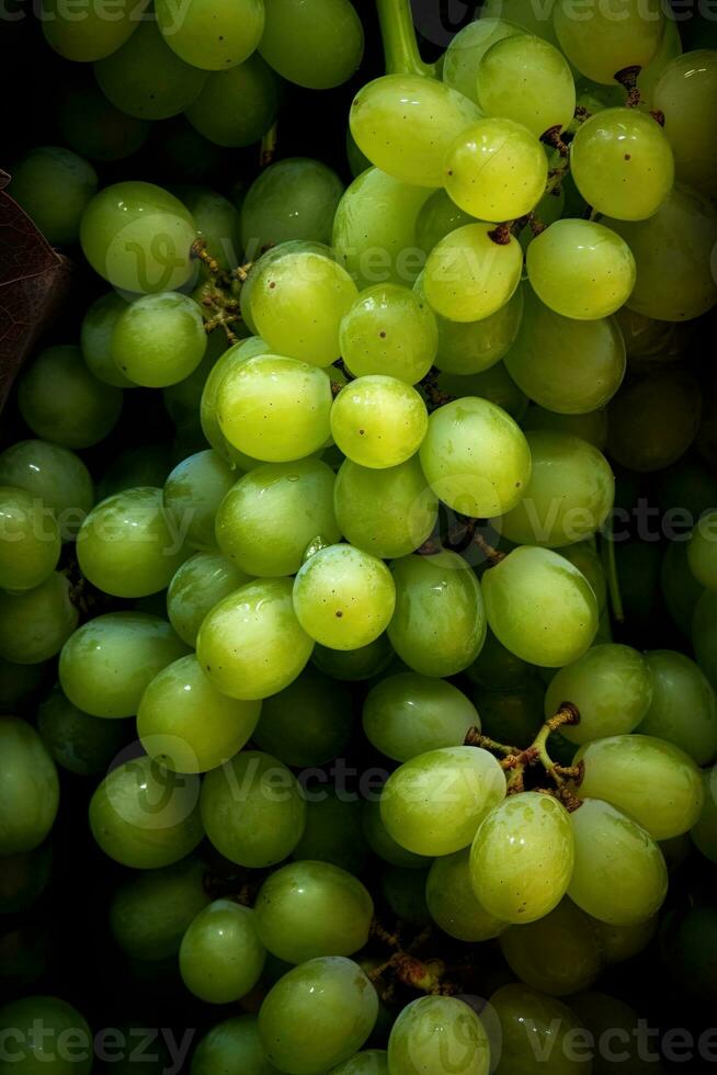 realista foto do uma grupo do verde uvas. topo Visão fruta cenário. ai gerado