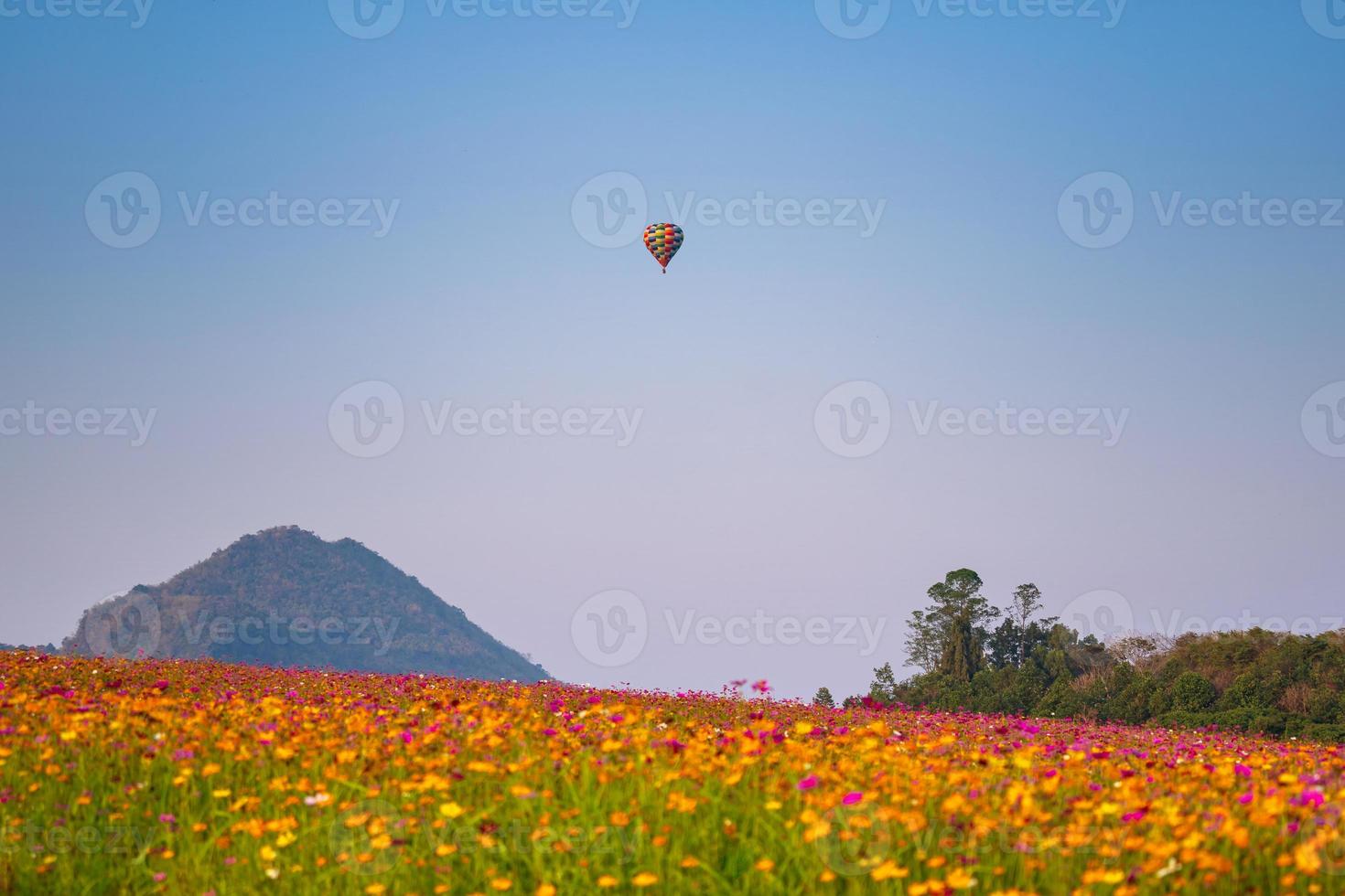balão no céu azul sobre um lindo jardim de flores foto