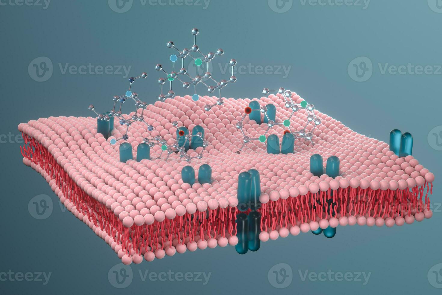 célula membrana e biologia, biológico conceito, 3d Renderização. foto