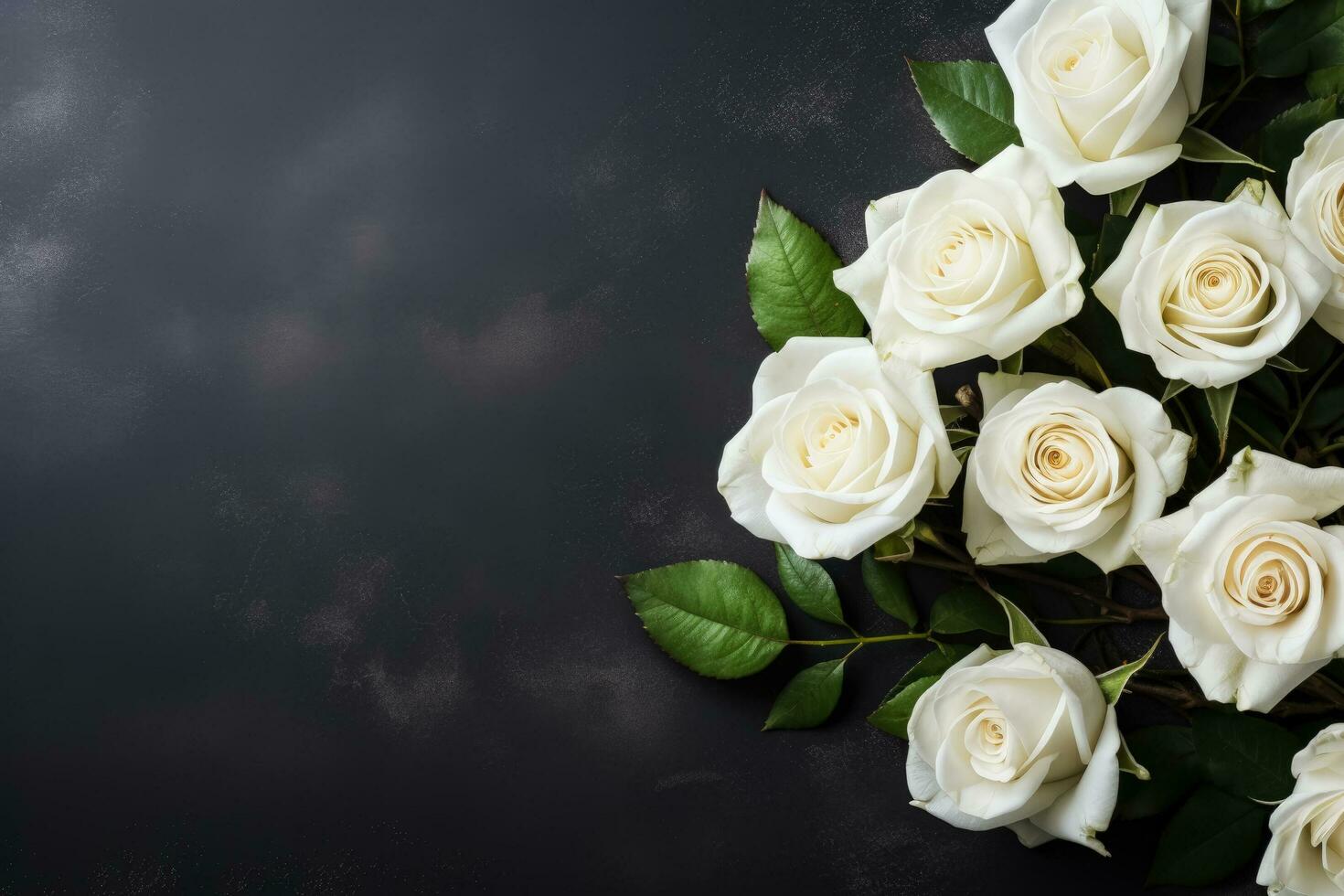 velório branco rosas em Sombrio fundo com cópia de espaço foto