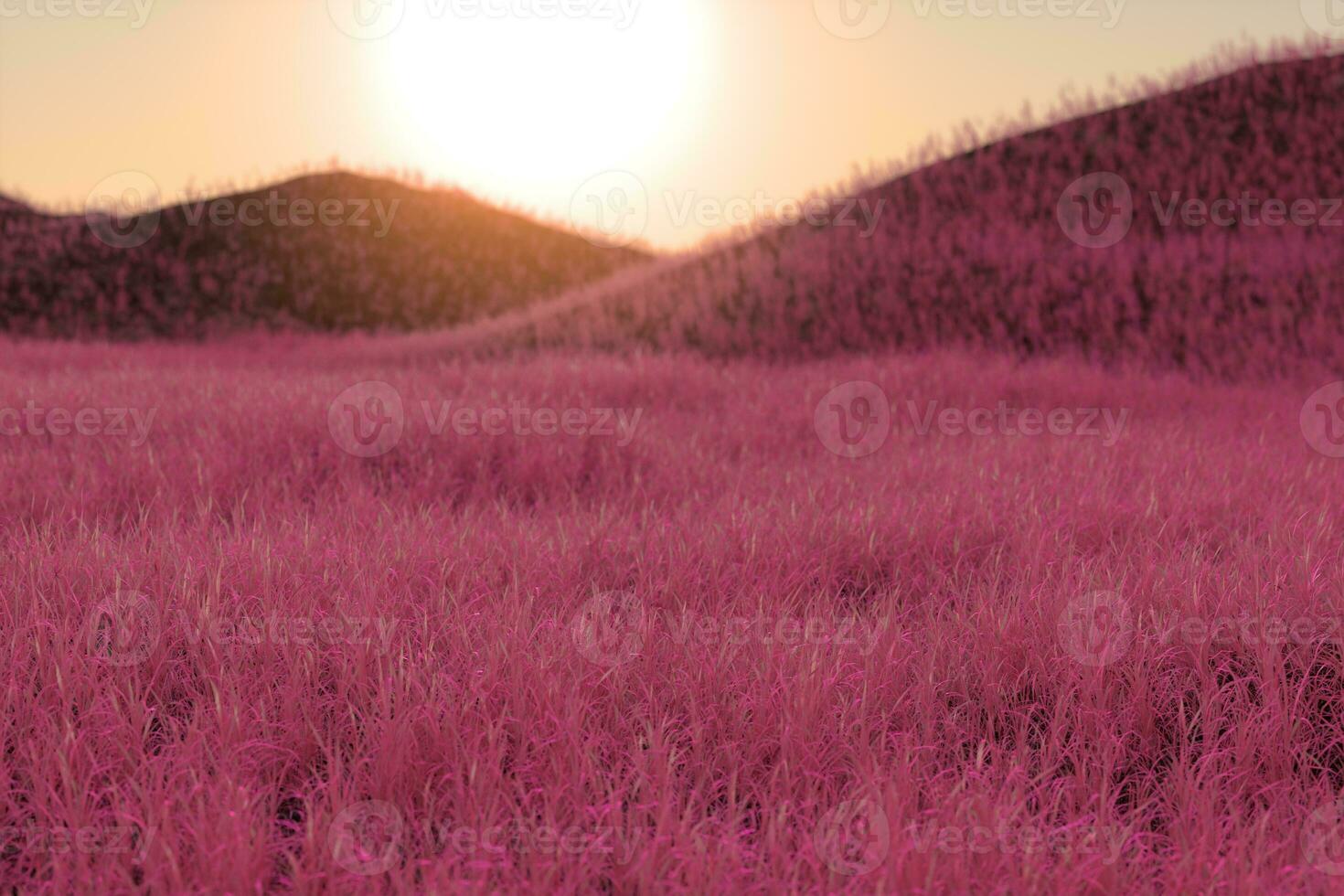 Relva campo e montanhas com brilhante plano de fundo,3d Renderização. foto