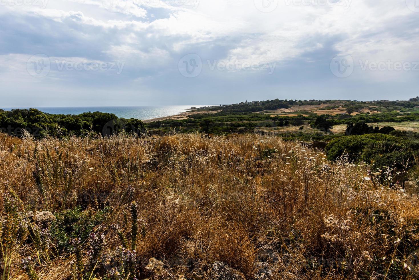 paisagem em selinunte na sicília, itália foto