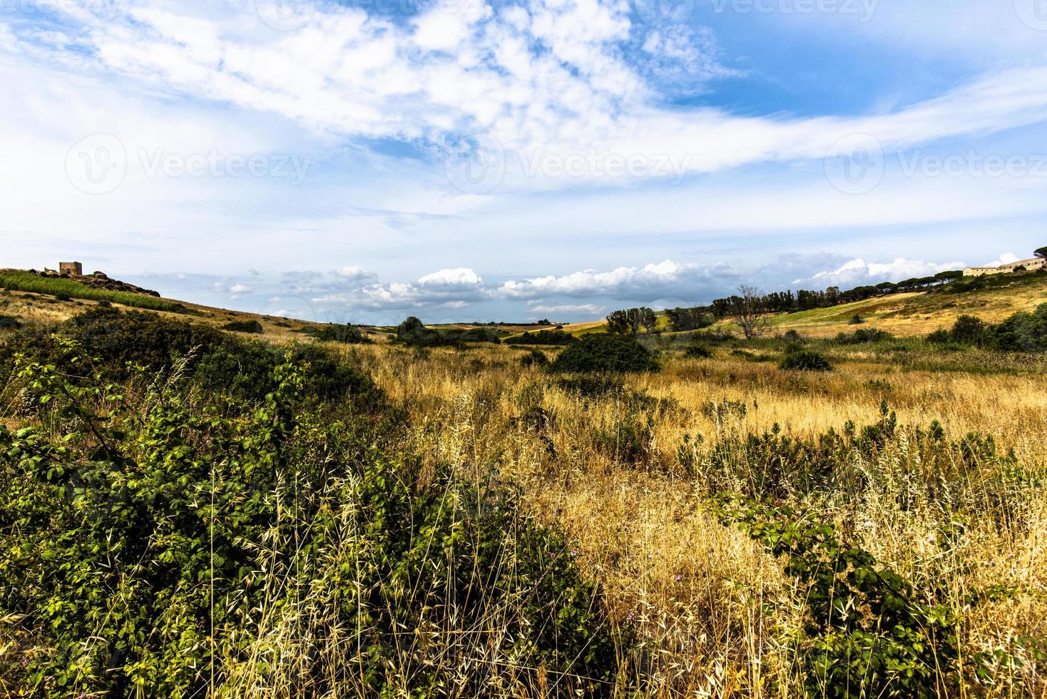 paisagem em selinunte na sicília, itália foto