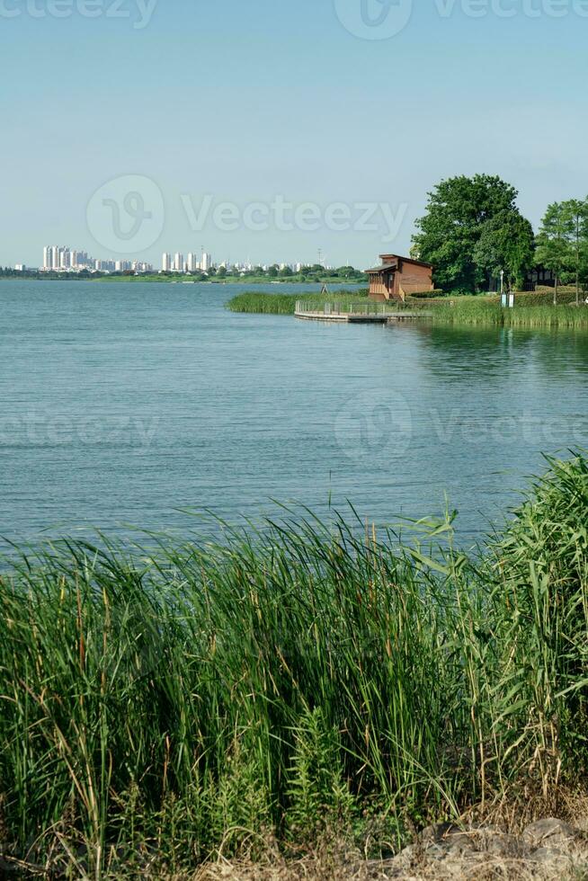 a chalé de a lago em uma ensolarado dia. foto