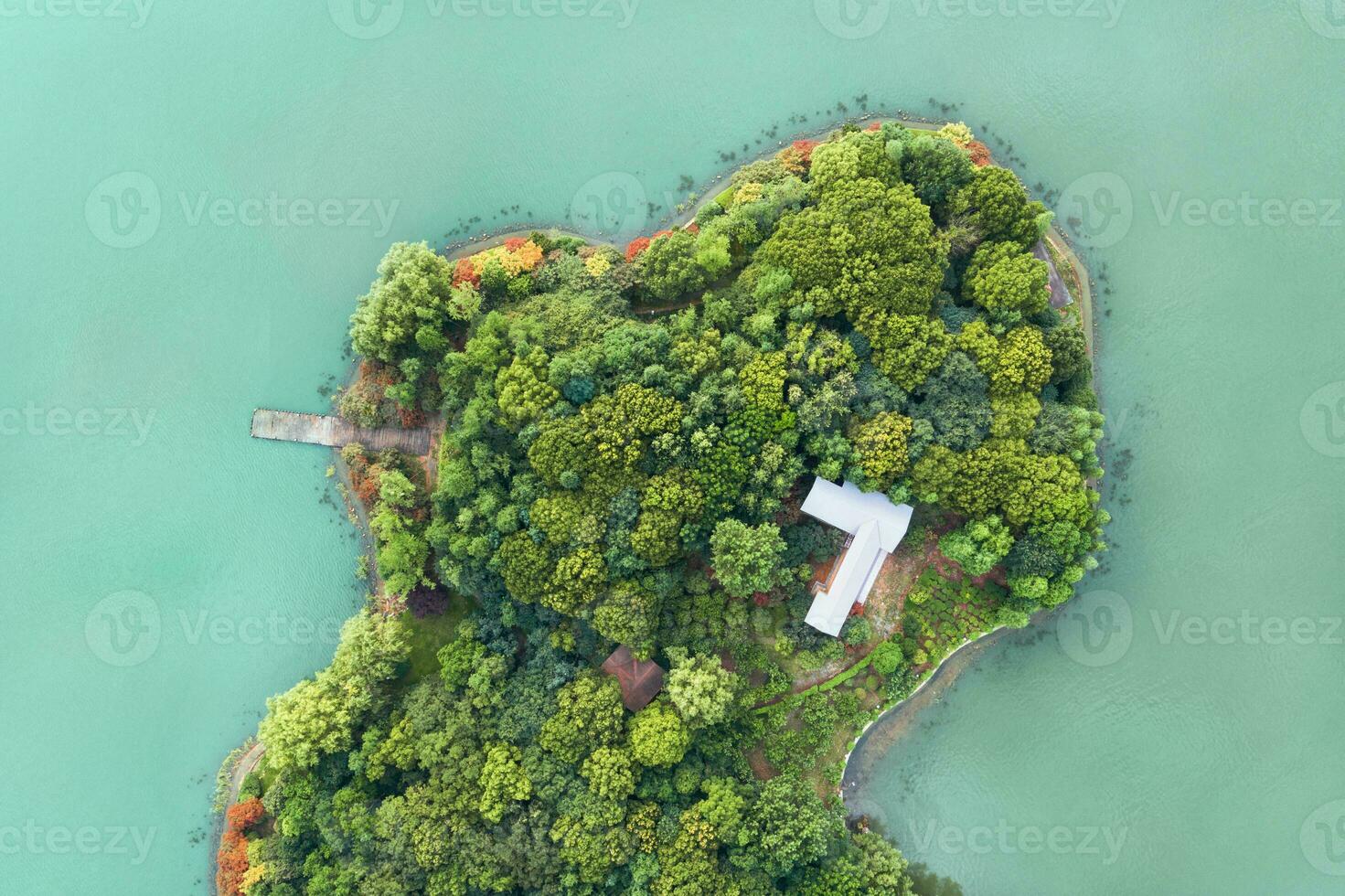 olhando baixa para a ilha dentro a lago. foto
