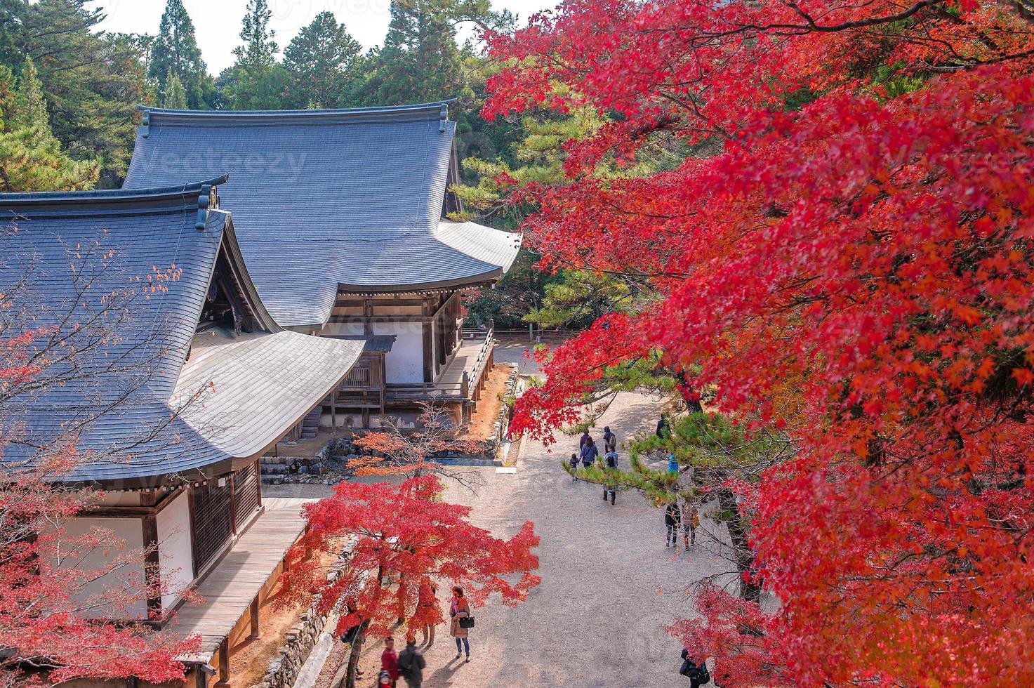 templo com folhas coloridas de outono em kyoto, japão foto