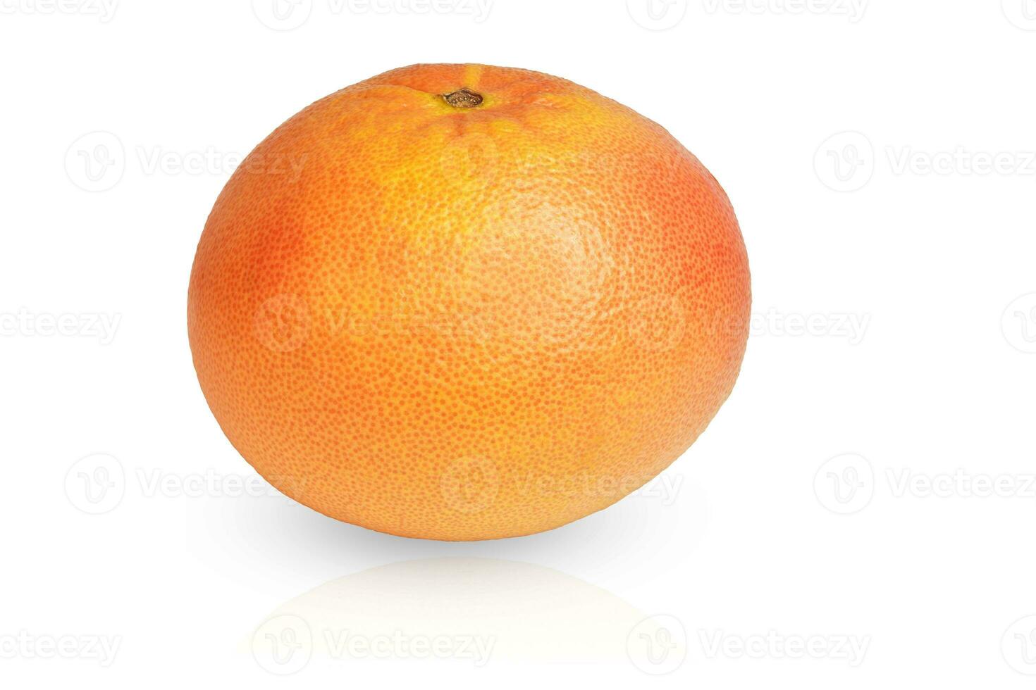 ampla suculento laranja com vermelho Toranja cortar Fora em uma branco fundo com sombra e reflexão foto