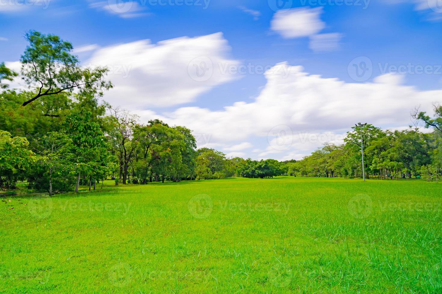 árvore verde em um lindo parque com jardim sob o céu azul foto