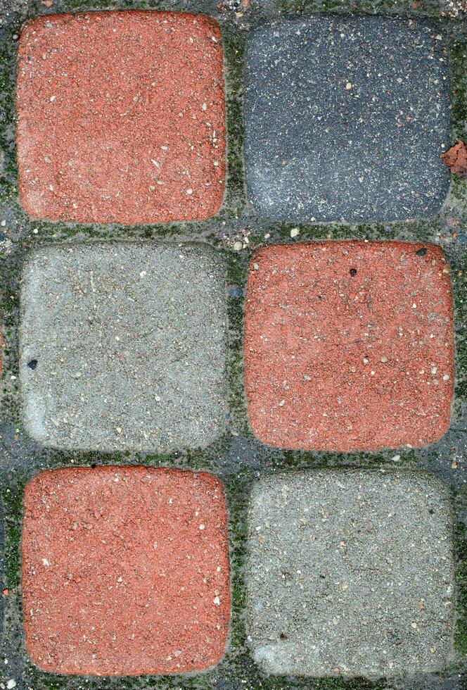 colorida pavimentou blocos. foto