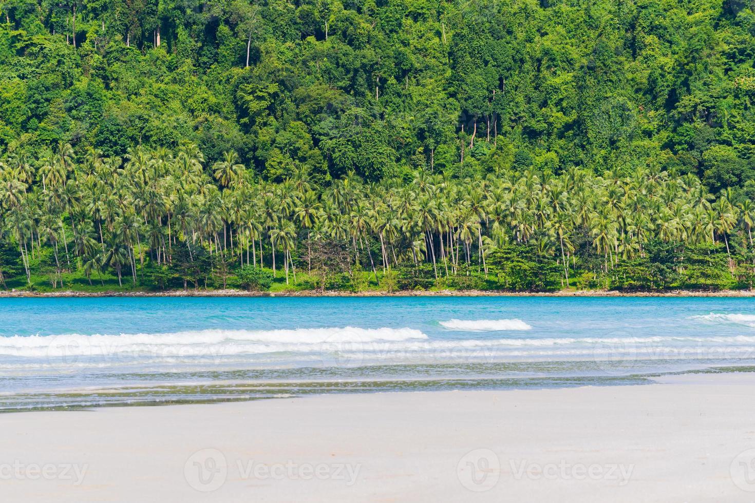 linda praia tropical e mar com coqueiro foto