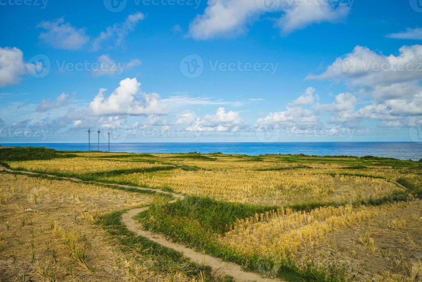 cenário de terraços xinshe à beira-mar em hualien, taiwan foto