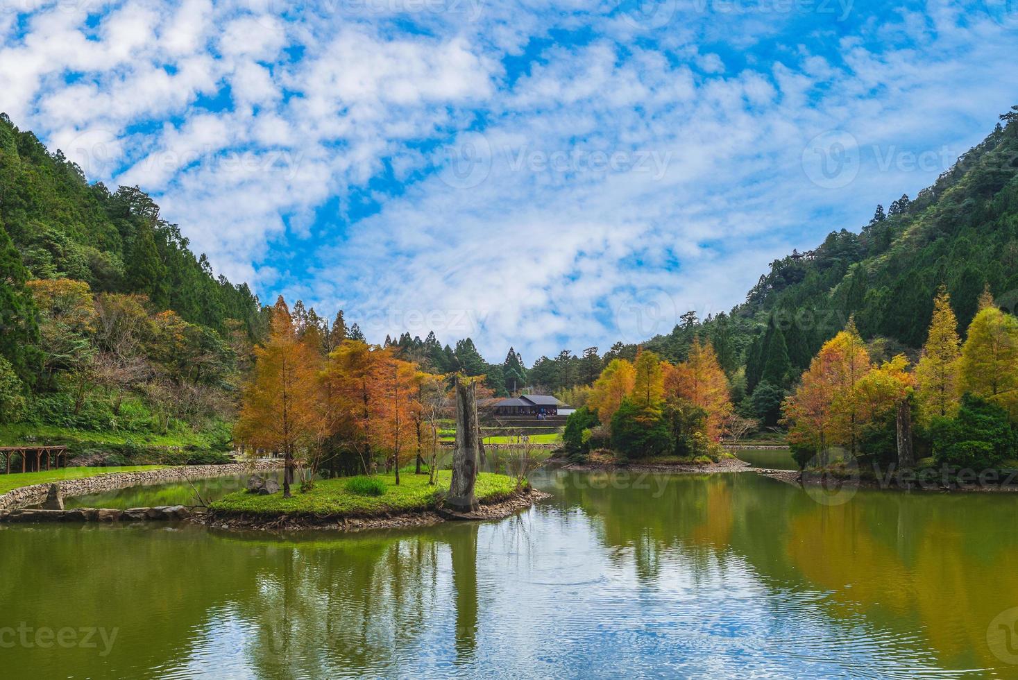 área de recreação da floresta mingchi em yilan, taiwan foto