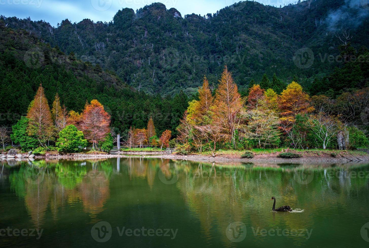 área de recreação da floresta mingchi em yilan, taiwan foto