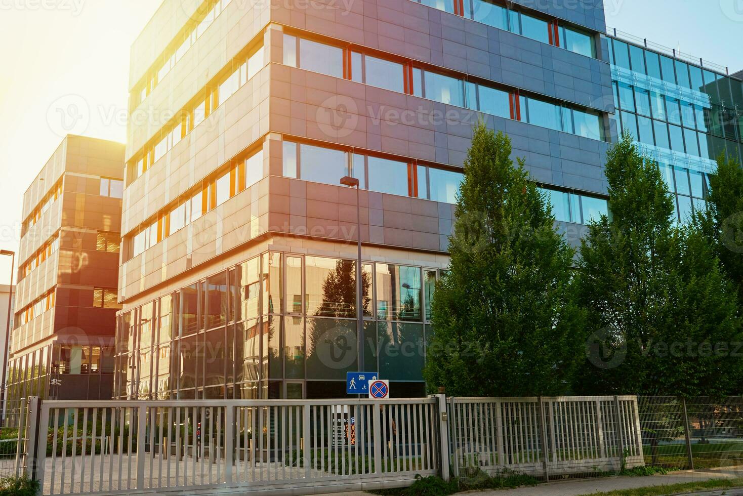 moderno escritório construção com verde árvores foto